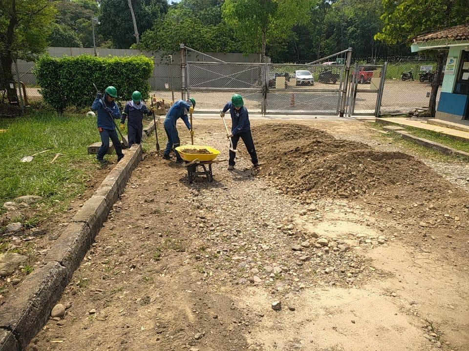 Proyecto TSE Ingeniería 1