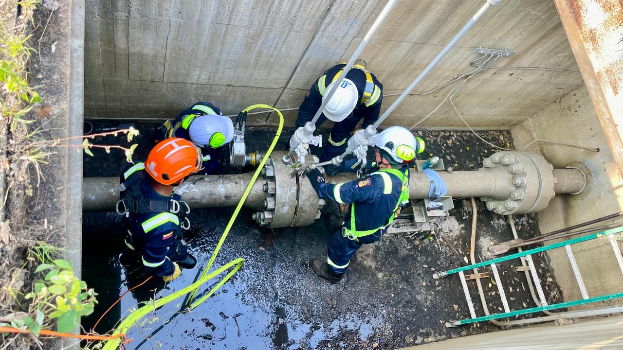 Proyecto TSE Ingeniería 5